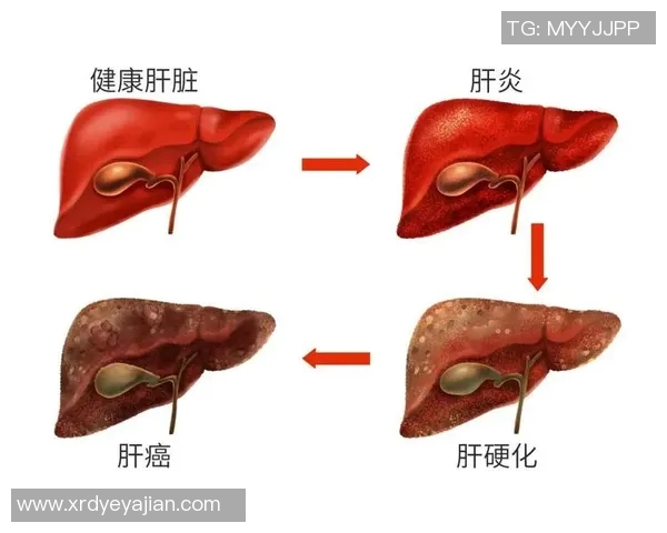 乙肝足球明星的奋斗历程与健康管理启示 乙肝足球明星的奋斗历程与健康管理启示