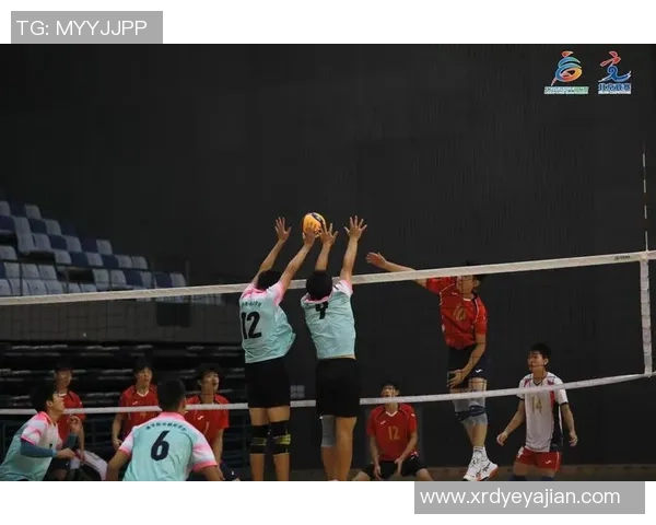 北京排球队在杯赛中的实力表现与未来发展潜力分析