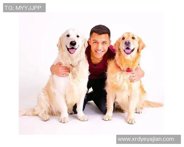 动物与足球明星的速度与灵活性对比探讨 动物与足球明星的速度与灵活性对比探讨