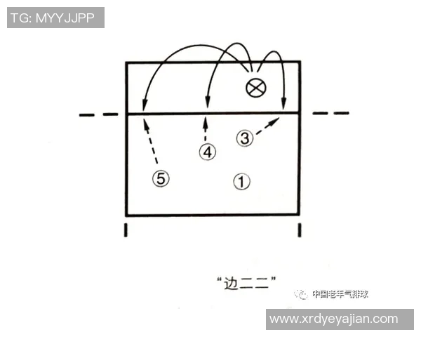 广州排球队配合细节解析与战术对比全面分析
