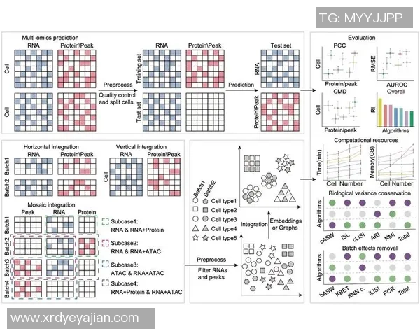 武汉羽毛球队在全国锦标赛中的战术意识与团队协作表现分析