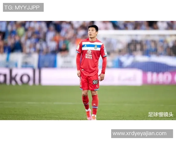 独狼足球明星的传奇之路与孤独背后的奋斗故事