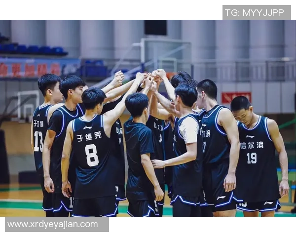 篮球纪实：记录北京篮球队的奋斗经历