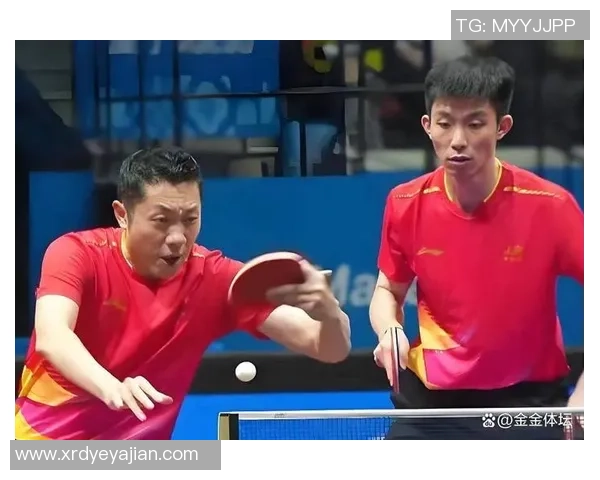 乒乓球纪实：记录南京乒乓球队的逆袭之旅