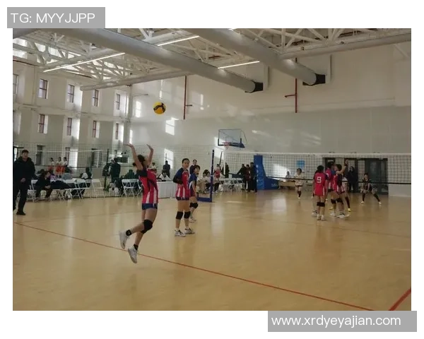 排球团队协作排名:重庆排球队创新高 排球团队协作排名:重庆排球队创新高